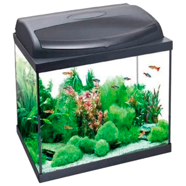 Аквариум Aquael Pearl High 60 Rectangular 90 л/ Черный photo 1 Аквариум Aquael Pearl High 60 Rectangular 90 л/ Черный photo 1
