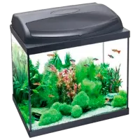 Acvariu Aquael Pearl High 60 Rectangular 90 l/ Black
