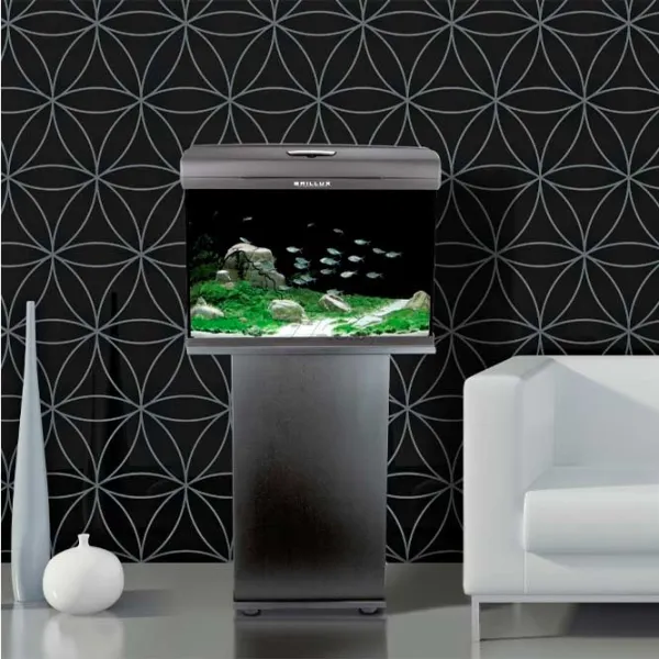 Acvariu Aquael Set Brillux Bio 60 Rectangular 90 l/ Black photo 3 Acvariu Aquael Set Brillux Bio 60 Rectangular 90 l/ Black photo 3