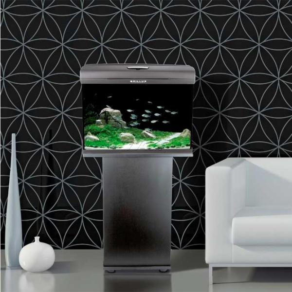 Acvariu Aquael Set Brillux Bio 60 Rectangular 90 l/ Black photo 3 Acvariu Aquael Set Brillux Bio 60 Rectangular 90 l/ Black photo 3