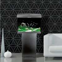 Acvariu Aquael Set Brillux Bio 60 Rectangular 90 l/ Black photo 3