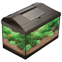 Acvariu Aquael Leddy PAP-60 LED 54 l/ Black