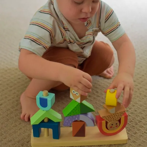 Конструктор Tooky Toy Пирамидки на балланс Классический/ Разноцветный photo 5