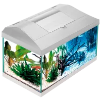 Acvariu Aquael Leddy Plus PAP-60 D&N LED 54 l/ White