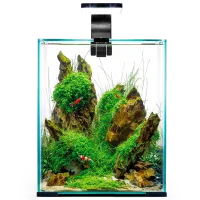 Acvariu Aquael SMART D&N 10  19 l / White