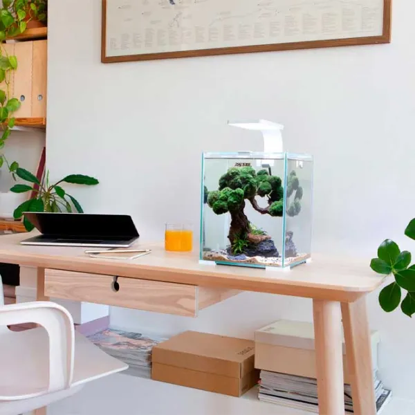 Аквариум Aquael SMART D&N 30  30 л / Белый photo 2