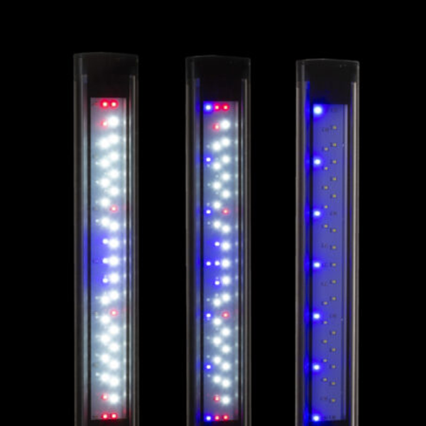 Освещение для аквариумов Aquael LEDDY SLIM DUO SUNNY PLANT  LED / 860 лм photo 2 Освещение для аквариумов Aquael LEDDY SLIM DUO SUNNY PLANT  LED / 860 лм photo 2
