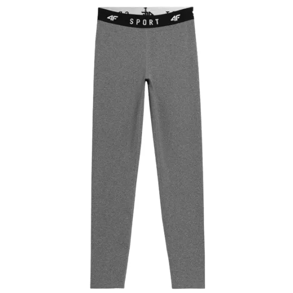  Термо Лосины для женщин 4F h4l22-spdf351  XXL / Grey photo 1