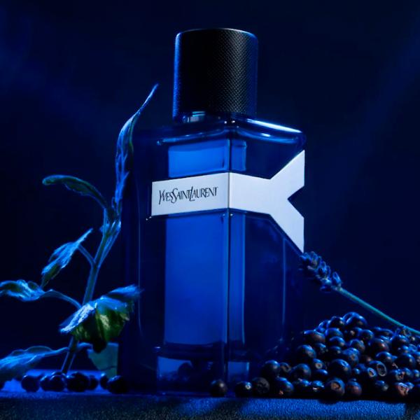 Парфюм для мужчин Yves Saint Laurent Y MEN EAU INTENSE Туалетная вода / Фруктовый photo 4 Парфюм для мужчин Yves Saint Laurent Y MEN EAU INTENSE Туалетная вода / Фруктовый photo 4