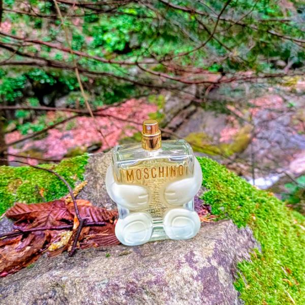 Парфюм для женщин Moschino EDP Парфюмерная вода / Древесный photo 5 Парфюм для женщин Moschino EDP Парфюмерная вода / Древесный photo 5