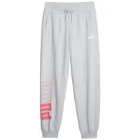 Спортивные брюки для женщин Puma Power Colorblock Sweatpants Fl Ligh XL / Серый