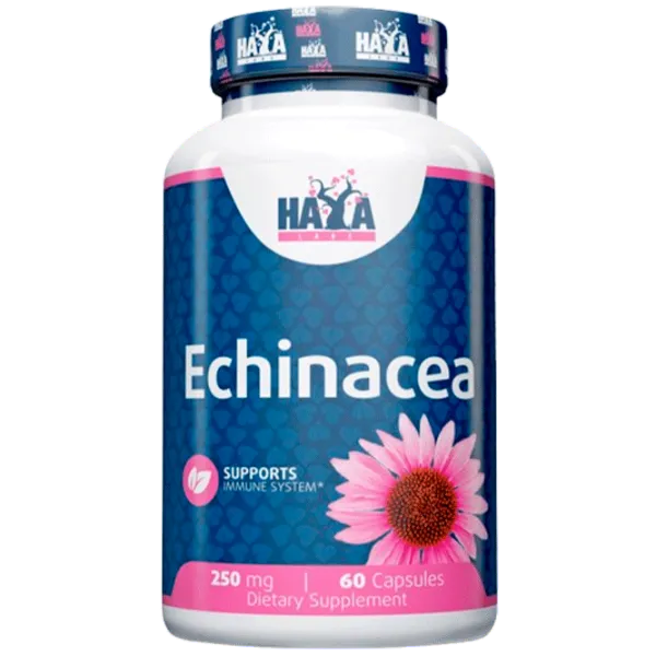 Витамины и минералы Haya Labs Echinacea (853809007318) 60 photo 1 Витамины и минералы Haya Labs Echinacea (853809007318) 60 photo 1
