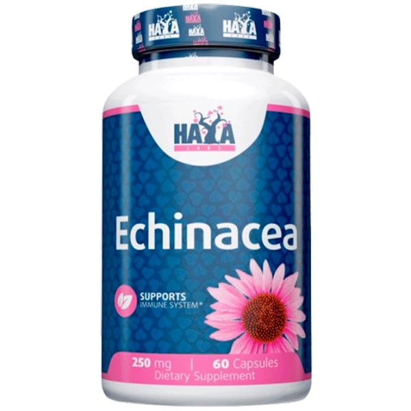 Витамины и минералы Haya Labs Echinacea (853809007318) 60 photo 1 Витамины и минералы Haya Labs Echinacea (853809007318) 60 photo 1