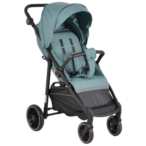 Детская коляска Moni Buggy 3800146236571/ Зеленый photo 1