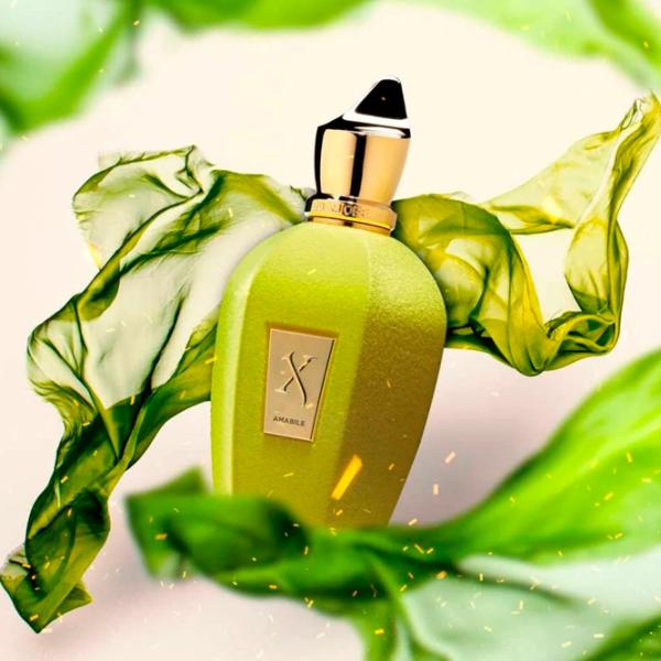Parfum unisex Xerjoff Amabile Apă de parfum / Aromatizat photo 5