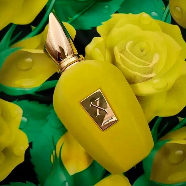 Parfum unisex Xerjoff Amabile Apă de parfum / Aromatizat photo 3