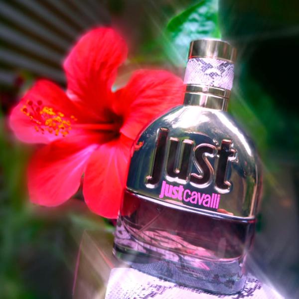 Парфюм для женщин Roberto Cavalli JUST HER Туалетная вода / Цветочный photo 2 Парфюм для женщин Roberto Cavalli JUST HER Туалетная вода / Цветочный photo 2