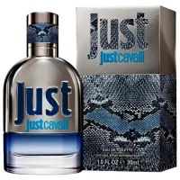 Парфюм для мужчин Roberto Cavalli JUST HIM Туалетная вода / Кожаные