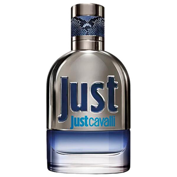 Парфюм для мужчин Roberto Cavalli JUST HIM Туалетная вода / Кожаные photo 2