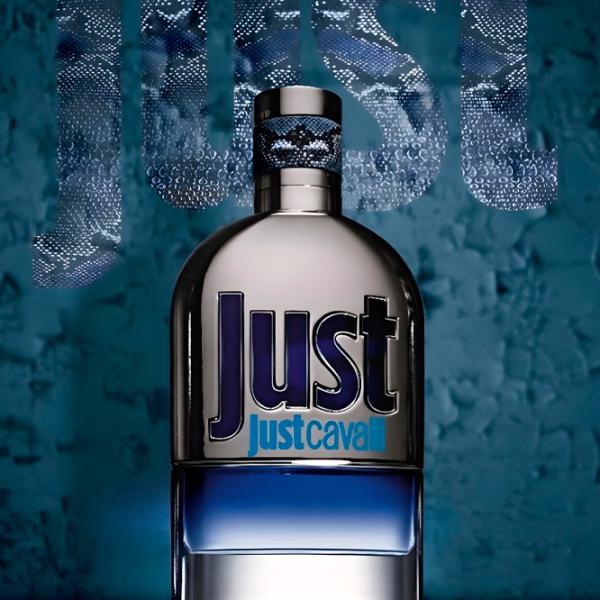 Парфюм для мужчин Roberto Cavalli JUST HIM Туалетная вода / Кожаные photo 4