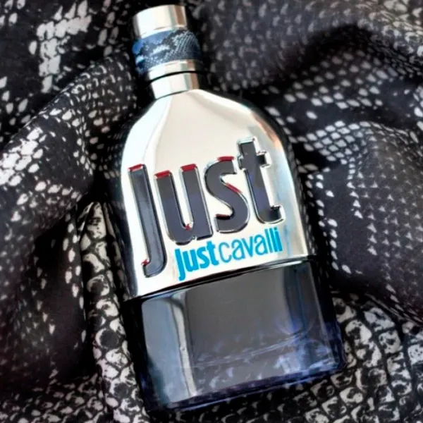 Парфюм для мужчин Roberto Cavalli JUST HIM Туалетная вода / Кожаные photo 2