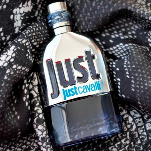 Парфюм для мужчин Roberto Cavalli JUST HIM Туалетная вода / Кожаные photo 2