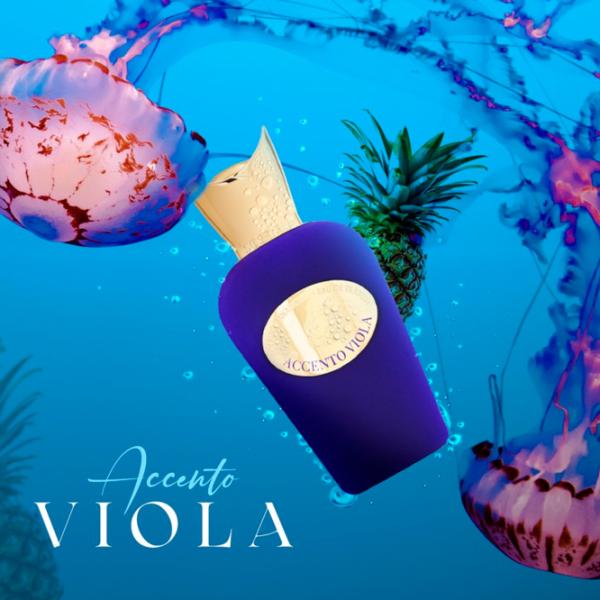 Парфюм унисекс Xerjoff Accento Viola Парфюмерная вода / Фруктовый photo 5 Парфюм унисекс Xerjoff Accento Viola Парфюмерная вода / Фруктовый photo 5