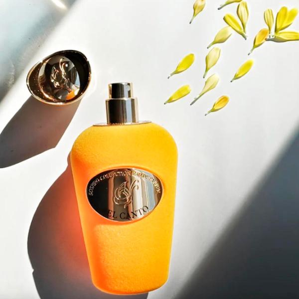 Parfum unisex Xerjoff Bel Canto Apă de parfum / Lemnos photo 4 Parfum unisex Xerjoff Bel Canto Apă de parfum / Lemnos photo 4