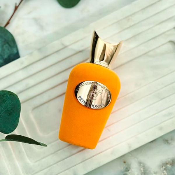 Parfum unisex Xerjoff Prima Donna Apă de parfum / Lemnos photo 4 Parfum unisex Xerjoff Prima Donna Apă de parfum / Lemnos photo 4