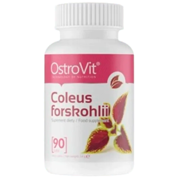 Витамины и минералы OstroVit Coleus Forskohlii (5902232619249) 90 photo 1 Витамины и минералы OstroVit Coleus Forskohlii (5902232619249) 90 photo 1