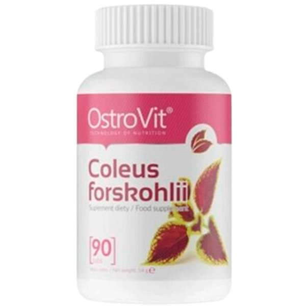 Витамины и минералы OstroVit Coleus Forskohlii (5902232619249) 90 photo 1 Витамины и минералы OstroVit Coleus Forskohlii (5902232619249) 90 photo 1