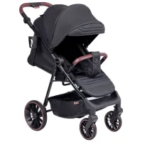 Детская коляска Coletto Dizzi 5902659514882/ Черный