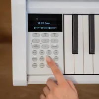 Цифровой пиан Kawai CA501W Акустический / 88 клавиш / Split / Белый photo 6
