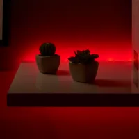 Светодиодная лента Cellularline Led Stripes Белый photo 2