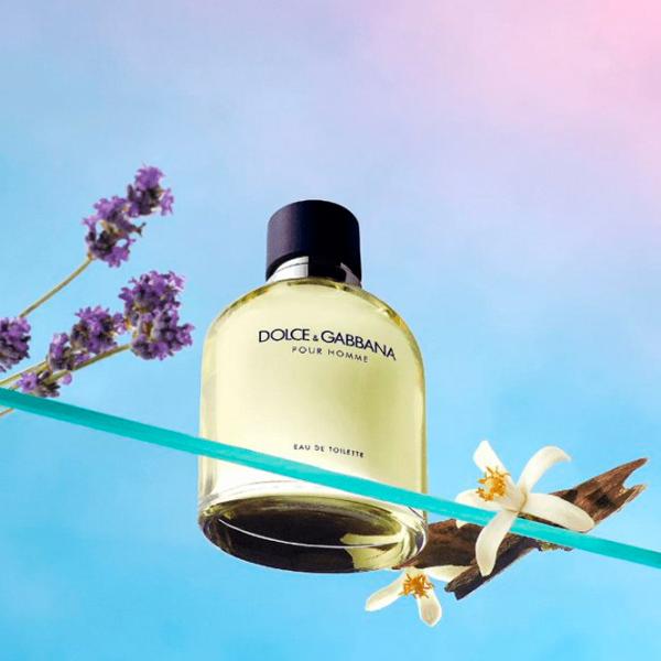 Parfum pentru bărbați Dolce & Gabbana Pour Homme Apă de toaletă / Fougere photo 4 Parfum pentru bărbați Dolce & Gabbana Pour Homme Apă de toaletă / Fougere photo 4