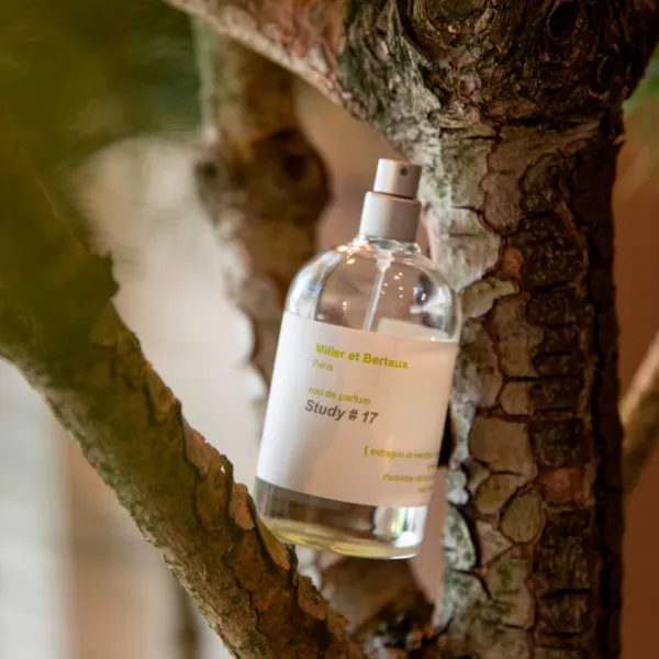 Parfum unisex Miller et Bertaux STUDY 17 Apă de parfum / Fresh photo 4 Parfum unisex Miller et Bertaux STUDY 17 Apă de parfum / Fresh photo 4