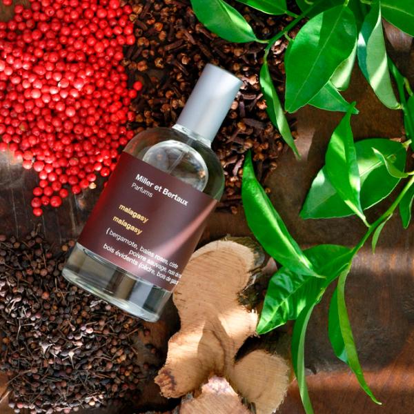 Parfum unisex Miller et Bertaux MALAGASY Apă de parfum / Oriental photo 3
