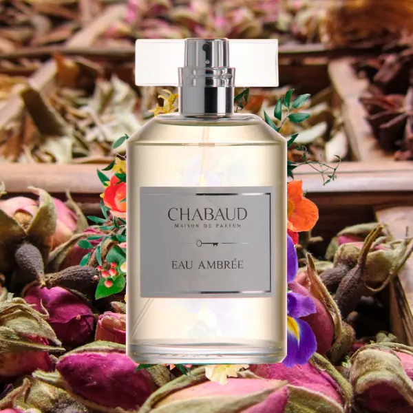 Parfum pentru femei Chabaud EAU AMBREE Apă de parfum / Oriental photo 4 Parfum pentru femei Chabaud EAU AMBREE Apă de parfum / Oriental photo 4