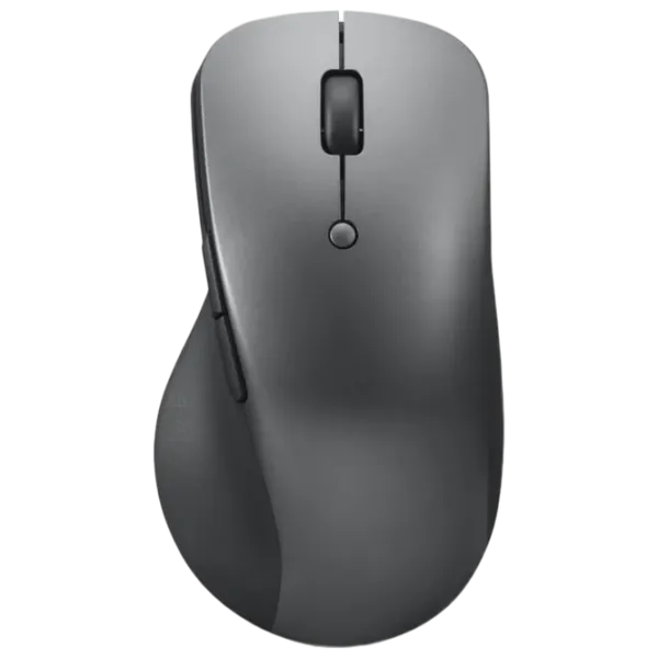 Mouse Lenovo Professional Gray photo 1