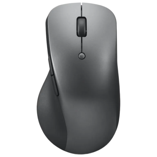 Mouse Lenovo Professional Gray photo 1