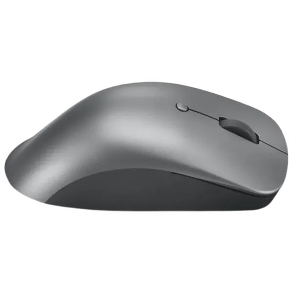Mouse Lenovo Professional Gray photo 2