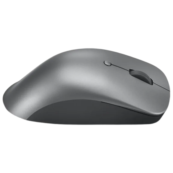 Mouse Lenovo Professional Gray photo 2