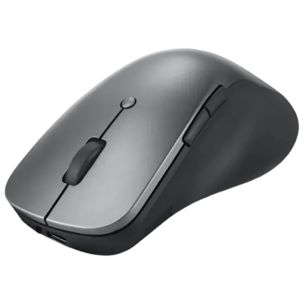 Mouse Lenovo Professional Gray photo 3