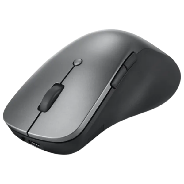Mouse Lenovo Professional Gray photo 3