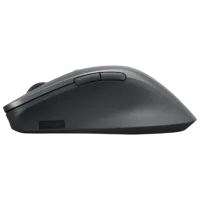 Мышь Lenovo Professional Серый photo 4