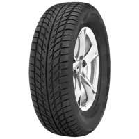 Anvelope Westlake SW608 205/55 R16 91H Iarnă / Autoturism