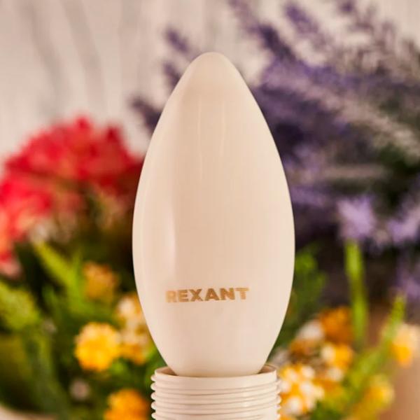 Bec LED cu filament Rexant CN35 604-096 E14 / 9.5 W / 4000 K / 915lm / White photo 5 Bec LED cu filament Rexant CN35 604-096 E14 / 9.5 W / 4000 K / 915lm / White photo 5