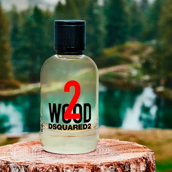 Parfum unisex Dsquared2 2 Wood Apă de toaletă / Lemnos photo 3 Parfum unisex Dsquared2 2 Wood Apă de toaletă / Lemnos photo 3