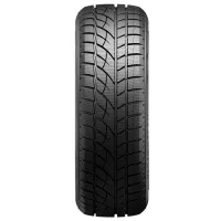 Шины Roadx RxFrost WU01 225/65 R17 102T Зимние / Легковой photo 3