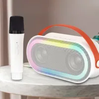 Микрофон KTV P6 Белый photo 2